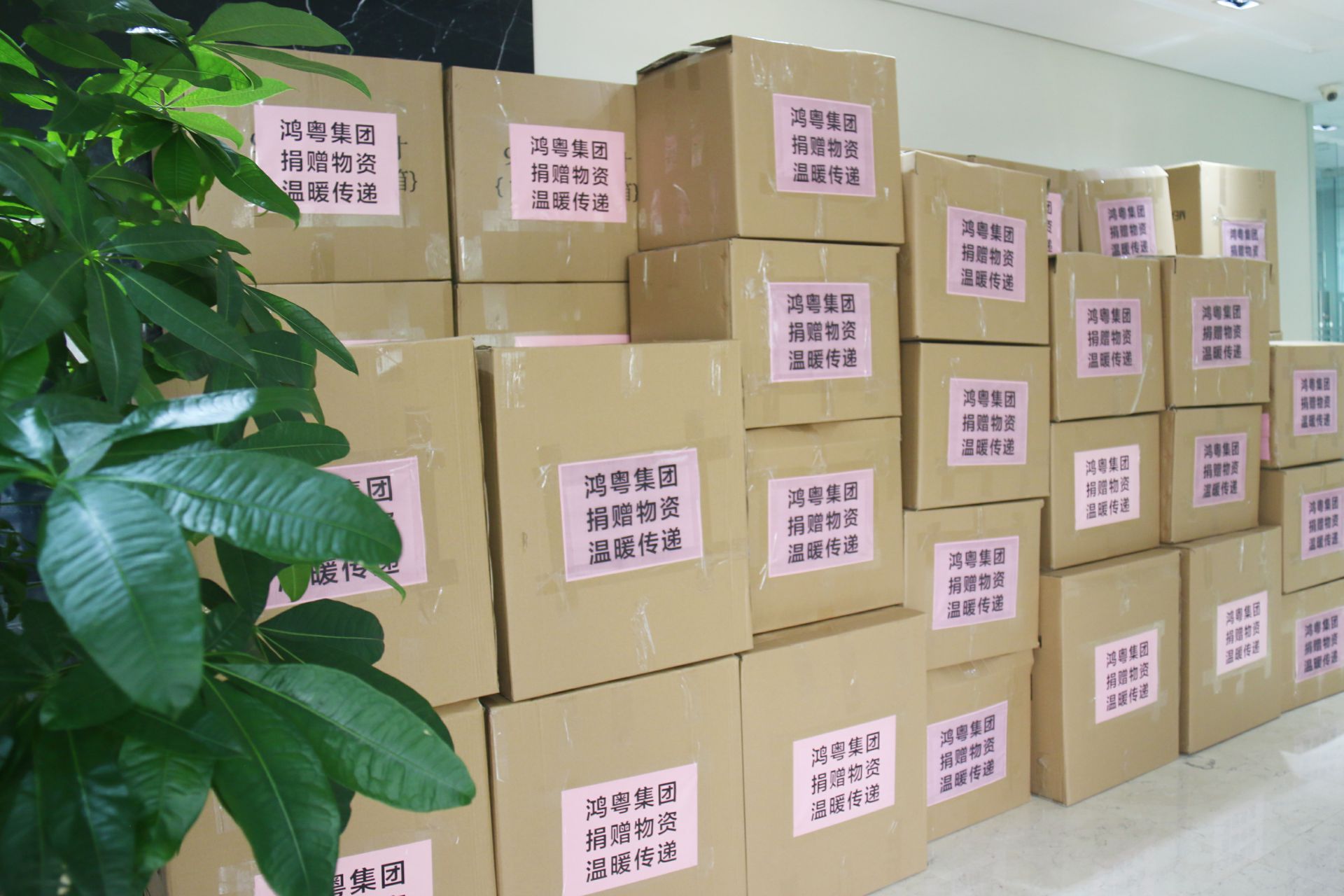 乐竞体育平台官方网站-乐竞体育(中国)公益回顾丨家国同欢月同圆 温暖满载甘孜州(图1)